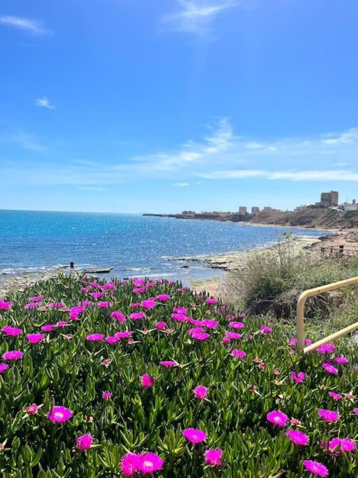 Casa La Paz Villa Torrevieja Dış mekan fotoğraf
